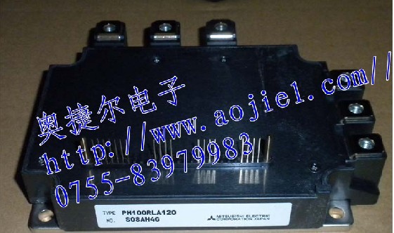 ½݌רӪPM100RLA120