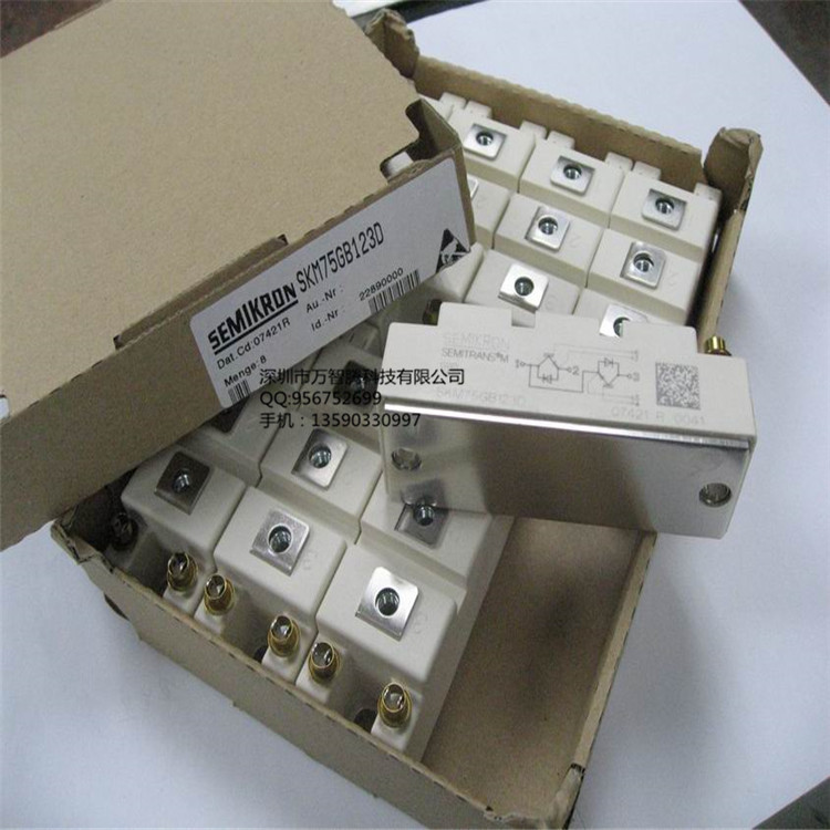 Եդ˫ģSKM75GB123DIGBTModulesſ