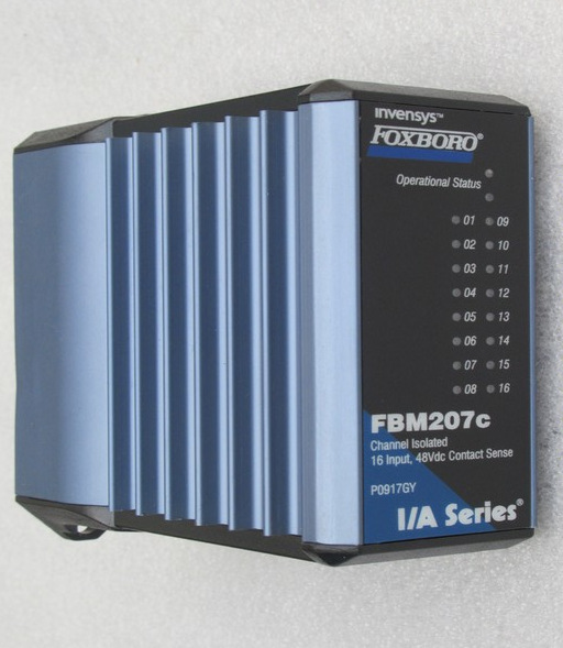 FBM207c